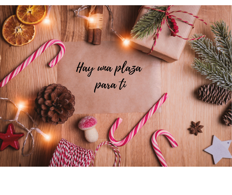 Estudiar oposiciones en Navidad
